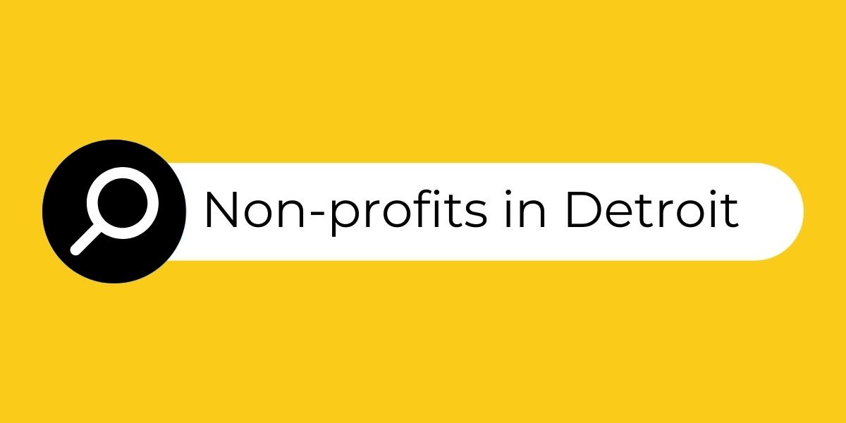 An example of a Search engine with "non-profits in Detroit" in the search bar