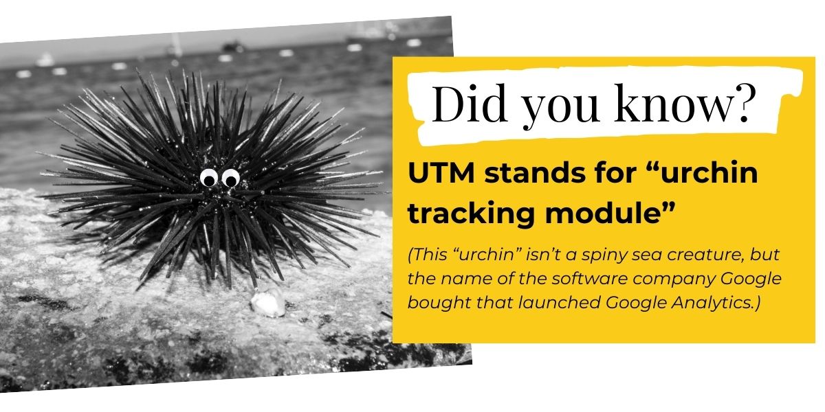 What Does UTM Stand For