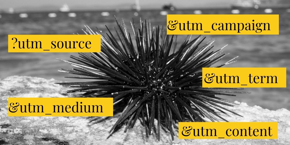An image of a sea urchin followed by code from urchin tracking modules, aka UTMs